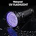 UV Black Light Flashlight,Super Bright 100 LED UV Torch Portable Blacklight Ultraviolet Detector Flashlight for Pet Urine, Home & Hotel Inspection,Scorpions