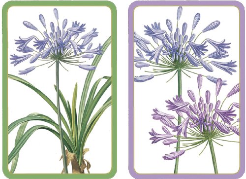 Entertaining with Caspari Double Deck of Bridge Playing Cards with Jumbo Typeface, Agapanthus, Set of 2
