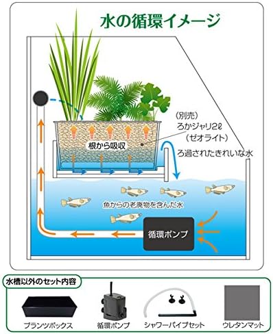 Amazon 寿工芸 レグラスポニックス 300hセット 寿工芸 飼育セット 通販