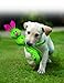 KONG Wubba Friends Ballistic Dog Toy - Durable Interactive Squeaky Toy, Assorted Colors/Animals, Fetch & Tug-of-War (Small)