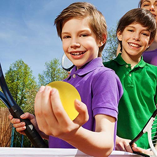 DEVAN Practice Tennis Ball Baseball 6 PCS Pitching Machine Replacement, Dog Toy,Indoor,Outdoor Game Toys
