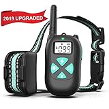 BESTHING Dog Training Collar with Remote