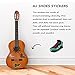 40 PCS Laptop Stickers, Merssyria Jordan AJ Sneakers Theme Stickers Waterproof Vinyl Scrapbook Stickers Car Motorcycle Bicycle Luggage Decal