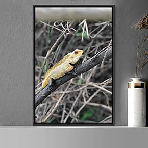 signwin Framed Canvas Wall Art Reptile Contemporary Dramatic...