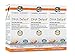 Nordic Naturals - DHA Infant Liquid Pack of 3, 6 Oz Total