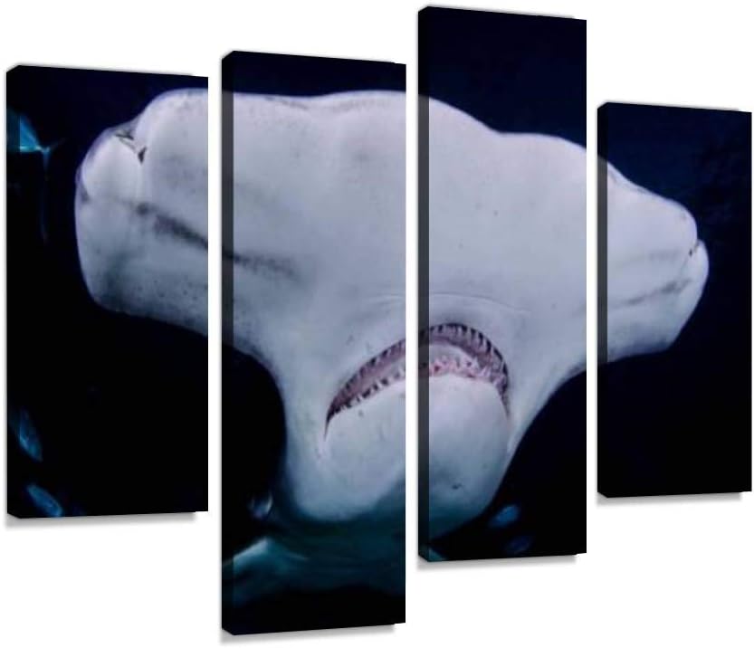 HIPOLOTUS 4 Panel Canvas Pictures Hammerhead Shark Close up Photo in Bahamas Undersea Close ups and Wall Art Prints Paintings Stretched & Framed Poster Home Living Room Decoration Ready to Hang