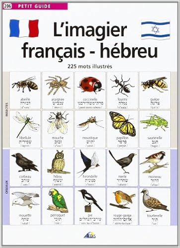 Amazon Fr L Imagier Francais Hebreu 225 Mots Illustres Aedis Livres
