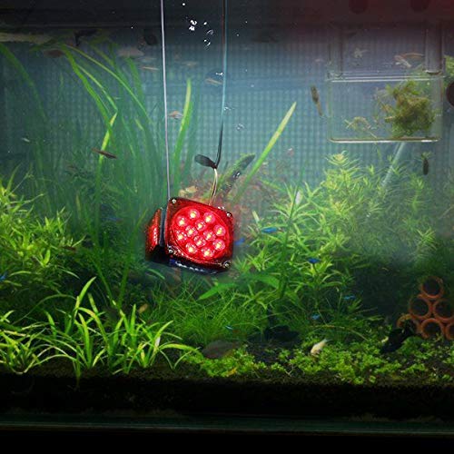 2 Vouke+Submersible+Trailer+Vehicle+Compliant