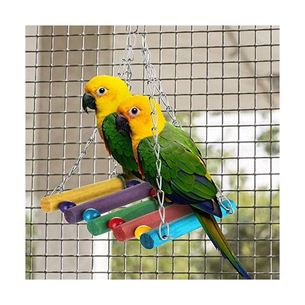 Zacro Giochi per Uccelli pappagalli, 7 Pezzi Giocattoli da Masticare, Giocattoli a Campana, per Animali di Piccola… Zacro Zacro Giochi per Uccelli pappagalli, 7 Pezzi Giocattoli da Masticare, Giocattoli a Campana, per Animali di Piccola…