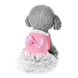 Dog Cat Bow Tutu Dress Lace Skirt, Gotd Cute Sweet Pet Puppy Dog Apparel Clothes Short Skirt Dress (S, Pink)