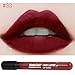 Silvercell Long Lasting Waterproof Lipstick Matte Lipstick Lip Gloss 6Pcs
