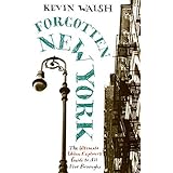 Forgotten New York: Views of a Lost Metropolis