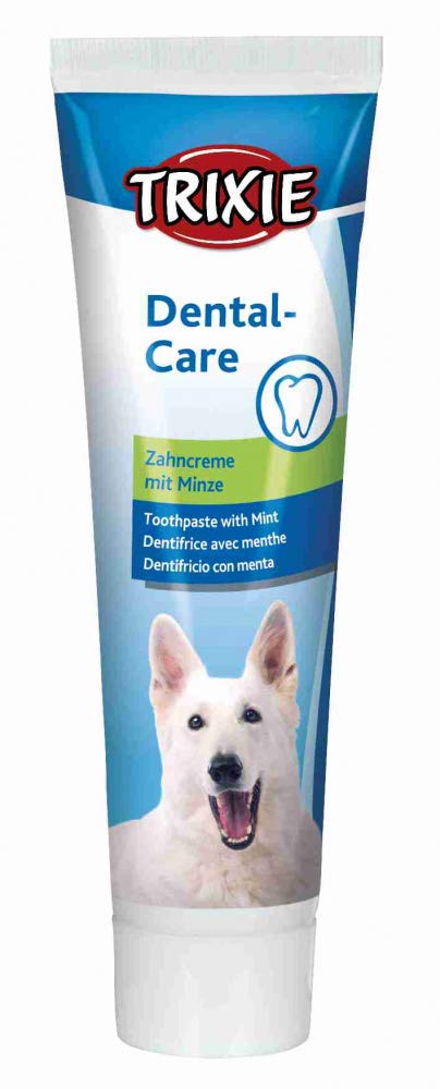 minty dog toothpaste