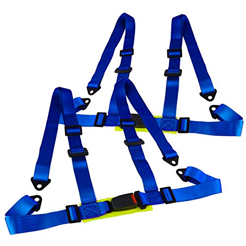 Click Here to See More Images Pair of Blue Seat Belt Harnesses, 2