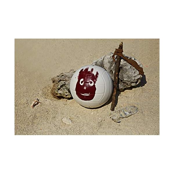 WILSON Outdoor Recreational Volleyball Official Size » La Decade