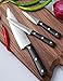Culina 3-Piece Chef Knife Set. Triple-rivet, Full-tang : 8-inch Chef Knife, 5-inch Utility Knife, 3.5-inch Paring Knife