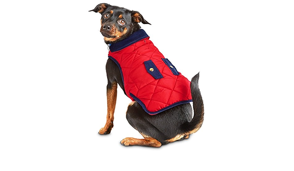 pup crew jacket