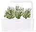 Click and Grow Smart Garden Lavender Plant Pods, 3-Pack