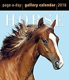Horse Page-A-Day Gallery Calendar 2016 by 