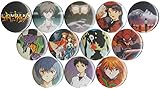 Set of 12 Neon Genesis Evangelion 1