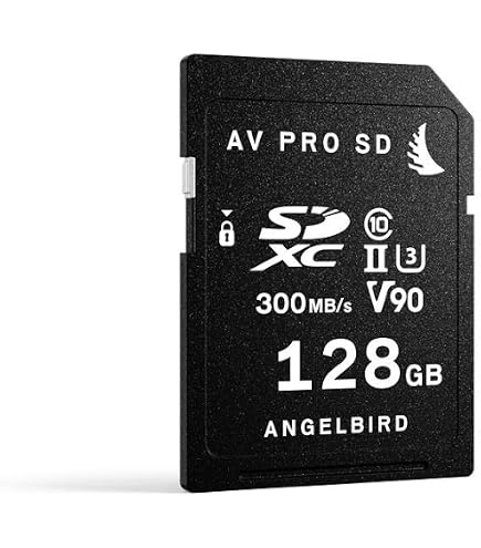 Amazon.com: Angelbird AV PRO SD V60 1 TB - SDXC UHS-II Memory Card