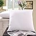 Bestemart Pillow Insert Polyester Square 18 x 18 inches