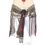 ZLTdream Women's Belly Dance Tribal Hip Scarf with Fringe Coins Flannel ZLTdream Women's Belly Dance Tribal Hip Scarf with Fringe Coins Flannel