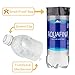 Aquafina Diversion Safe Water Bottle Stash Can w HumanFriendly Smell-Proof Bag