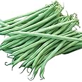 Tenderette Stringless Green Bean Seeds - Approximately 40 Seeds