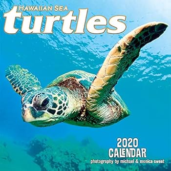 Pacifica Island Art - 2020 Wall Calendar - Hawaiian Sea Turtles by Michael & Monica Sweet