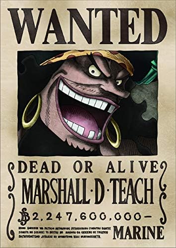 Amazon New 麦わらストア 限定 ワンピース 海軍発行公式手配書 マーシャル D ティーチ 黒ひげ サイズ 約4mm 298mm アニメ 萌えグッズ 通販