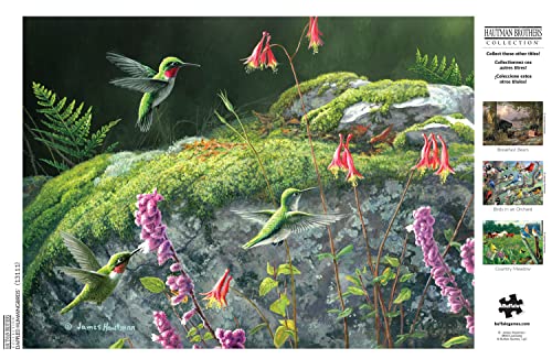 Buffalo Games - Jim Hautman - Dappled Hummingbirds - 1000 Piece Jigsaw Puzzle for Adults Challenging Puzzle Perfect for Game Nights - Finished Puzzle Size is 26.75 x 19.75