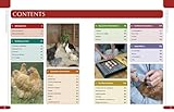 Image de Haynes Chicken Manual: The Complete Step-By-Step Guide to Keeping Chickens. Laurence Beeken