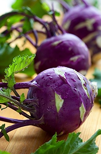 Purple Kohlrabi Alka seeds - Brassica oler convar. acephala var. gongylodes