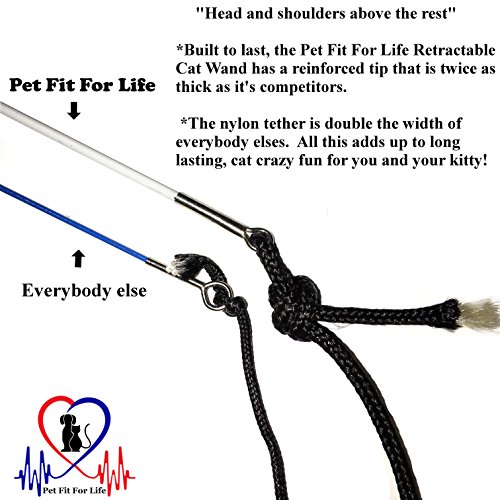Pet Fit For Life Retractable Wand with 2 Feathers For Your Cat and Kitten - Cat Toy Interactive Cat Wand