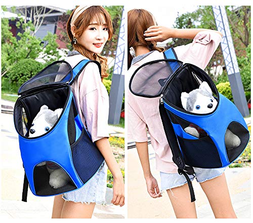 Pet Travel Carrier Backpack for Small Dogs and Cats up to 15lbs, Airline Approved, 4 Big Ventilation Window,Safety Features and Back Cushion Support(Blue)