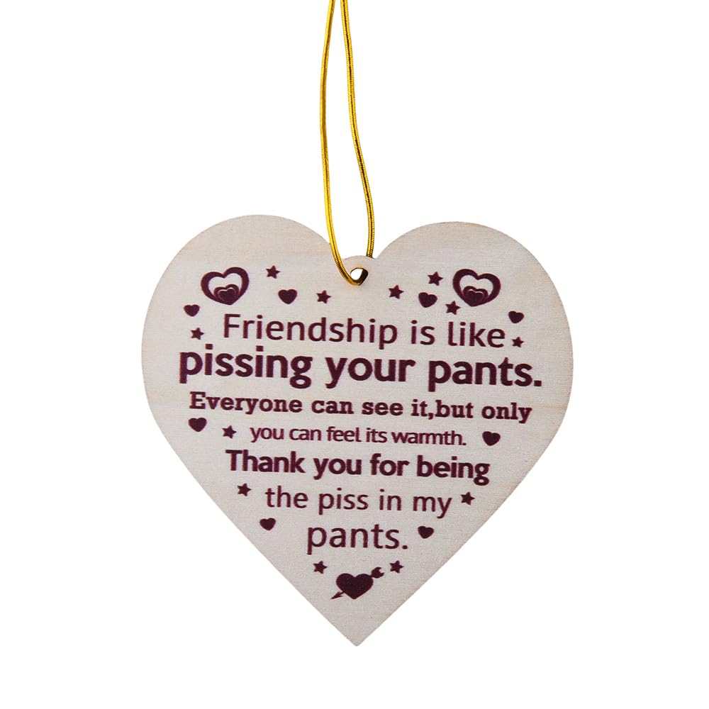 Best Friend Christmas Tree Ornaments - Friendship Appreciation Gifts for Women, Men, Bestie - Thank You Presents