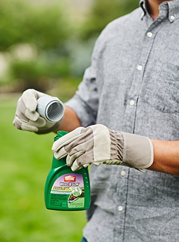 3 Ortho+Chickweed+Clover+Concentrate+16+Ounce