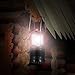 LED Lantern, TaoTronics Camping Lantern for Camping Fishing Hiking Emergency (60LM, 30 LEDs)