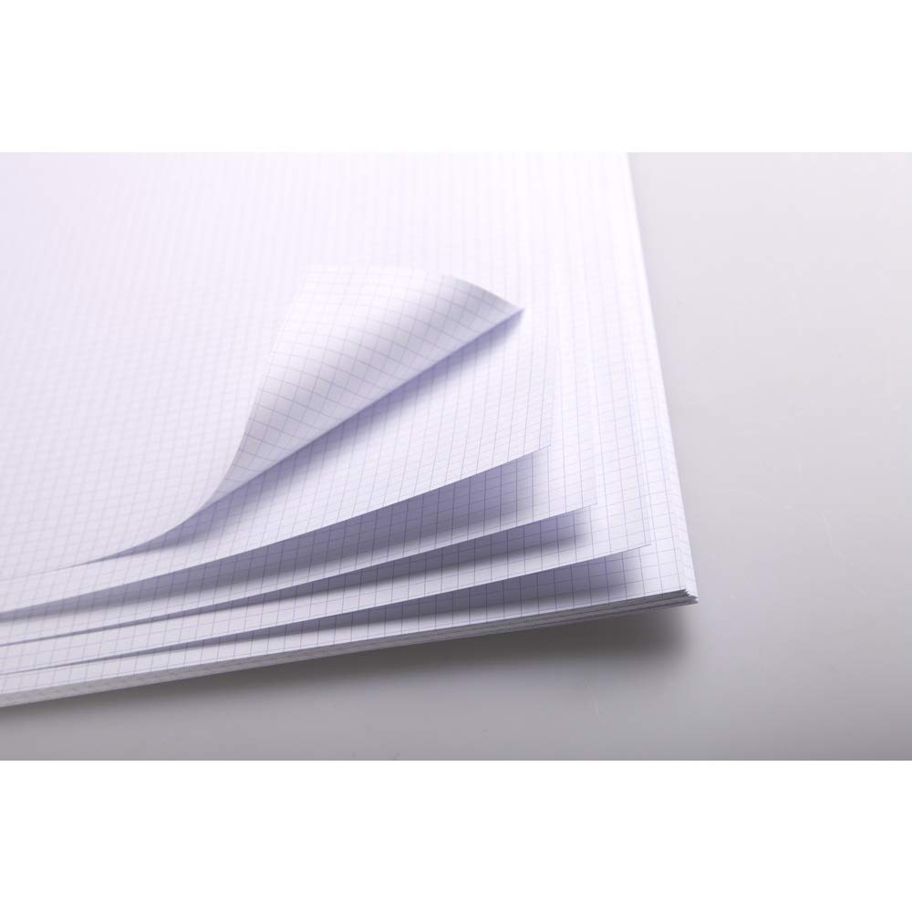 Clairefontaine - Ref 93325C - Bristol Graduated Sheets (25 Sheets) - 50 x 65cm Size, 205gsm Paper, Squared Rulings - Suitable for Pencil, Technical Pen, Indian Ink, Felt Nibs