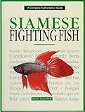 Siamese Fighting Fish by 