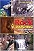 Rockwatching: Adventures Above and Below Ontario by Michael Gordon
