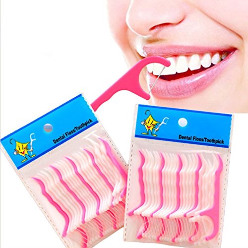 GeoBIX(TM) 100 Pcs/Lot Disposable Dental Flosser Interdental Brush Teeth Stick plastic Toothpick Floss Pick Oral Care tooth pick teech