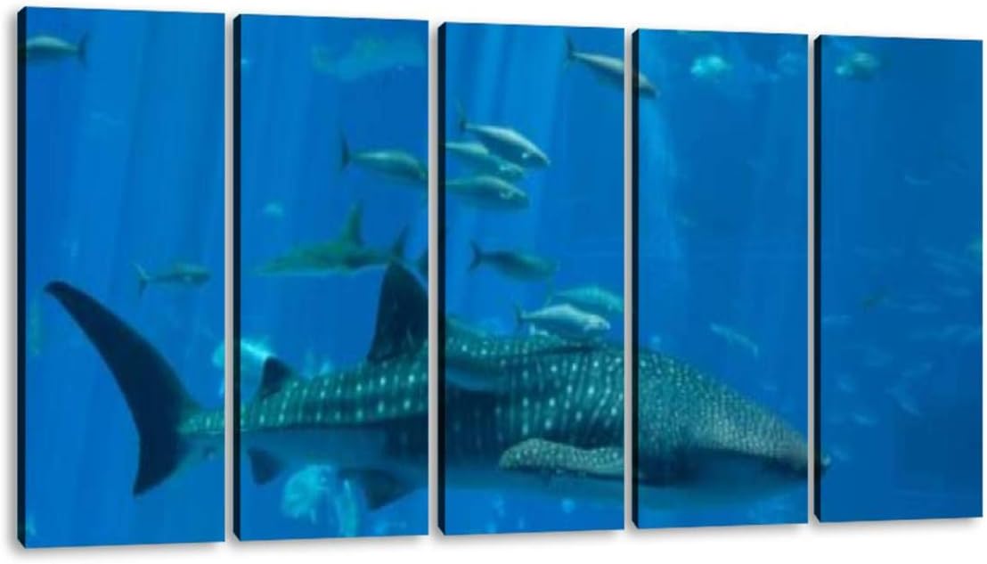 KiiAmy 5 Panels Art Wall Decor Beauty Whale Shark and Fish Whale Shark Stock Pictures, Royalty Free Artwork Modern Canvas Prints Office Bedroom Home Decor Framed Painting Ready to Hang (60''Wx32''H)