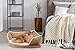 Paws & Pals Dog Bed for Pets & Cats – Triangle Corner Lounger with Self Warming Cozy Inner Cushion for Home Crate & Travel – Medium, Beigethumb 2