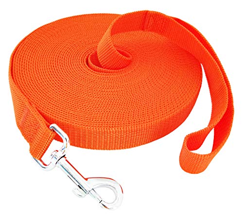 SALO Nylon Training Dog Leash for Small Medium Large Dogs, 1 Inch Wide, 20ft 30ft 40ft 50ft Long Leash Dog/Puppy Lead for Obedience Recall Training, Camping, or Backyard (40 Foot, Orange)