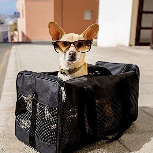 Cyttengo Airline Approved Expandable Pet Carrier, Dog Travel Bag Easy Carry on Luggage, a Extra Spacious Soft Sided Carrier, Designed for Cats, Dogs up to 22 lb