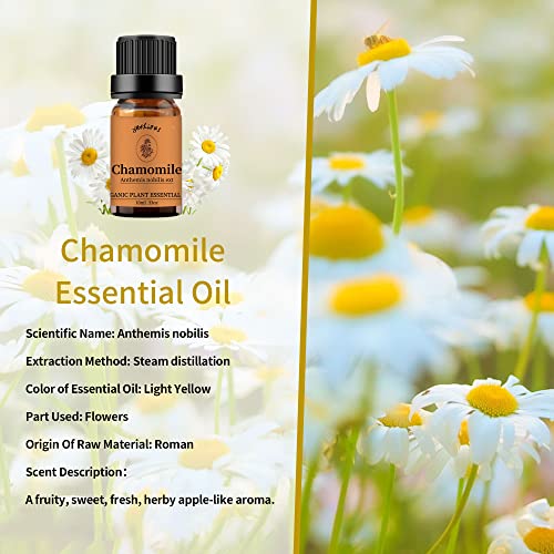 yethious Chamomile Essential Oil Organic Roman Chamomile Essential Oil