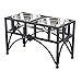 PawHut Elevated Dog Bowls, Double Stainless Steel Heavy Duty Dog Food Bowl Elevated Pet Feeding Station, 14