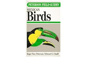 F G Mexican Birds